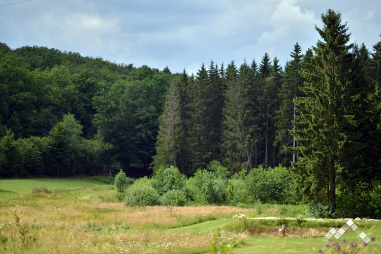 LA RIVELAINE-29